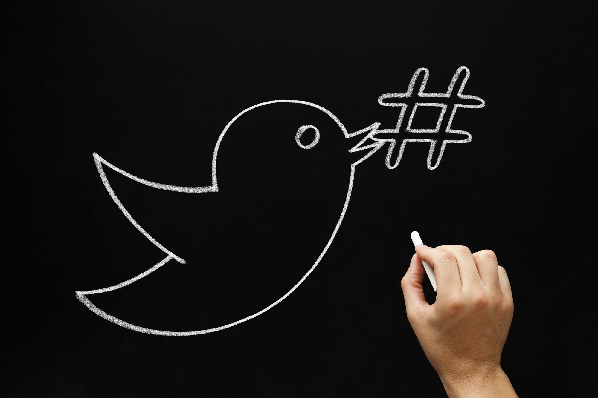 hand-drawing-the-twitter-bird-and-a-hashtag-on-a-blackboard